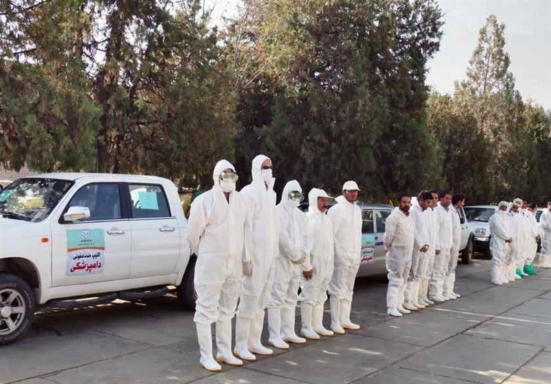 دامپزشکی خراسان جنوبی برای پیشگیری از آنفلوانزای پرندگان آماده باش است