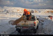بارش برف گردنه‌های استان قزوین را سفیدپوش کرد