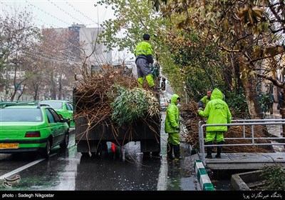 اصلاح خیابان 22 بهمن کاشان با قطع درختان به تصویب نرسید