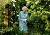 تمام اختیارات عجیب ملکه انگلیس؛ از قدرت عزل نخست‌وزیر استرالیا تا مالکیت تمام مرغابی‌ها!
