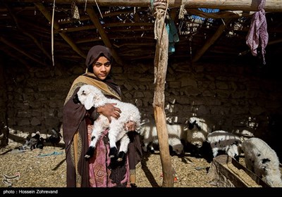 دختری یک بره را در بغل گرفته روستای گله بچه،‌ قبل از خشکسالی و خشک شدن هیرمند شغل اصلی آنها صیادی بود