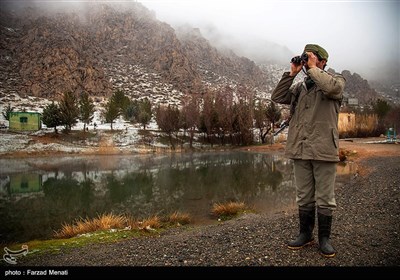 Iran's Beauties in Photos: Hashilan Wetland