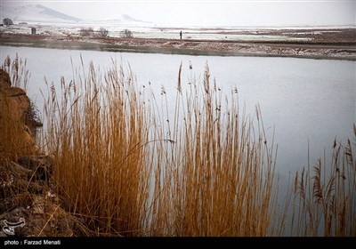 Iran's Beauties in Photos: Hashilan Wetland