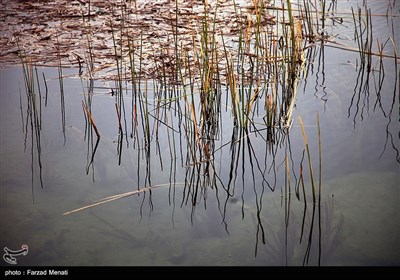 Iran's Beauties in Photos: Hashilan Wetland