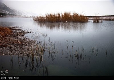 Iran's Beauties in Photos: Hashilan Wetland