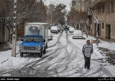 طهران تکتسی بالبیاض