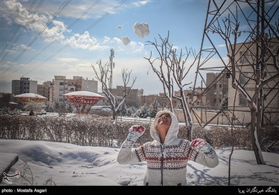 طهران تکتسی بالبیاض