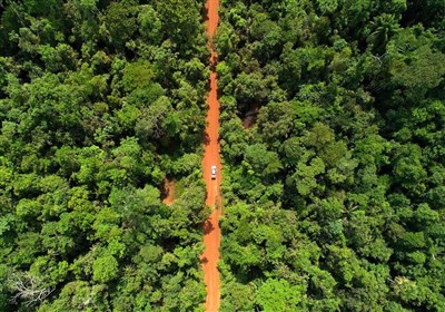 کاهش 33 درصدی جنگل‌زدایی در&quot; آمازون&quot;