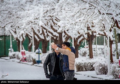 بارش برف در مشهد