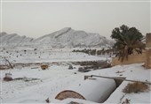 برف در ارتفاعات دشتستان به 20 سانتی‌متر رسید