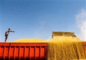 ایران 35 هزار تن گندم از قزاقستان خرید