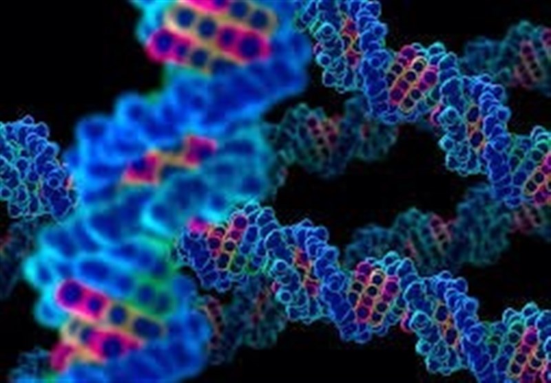 Cancer Genes Can Exist Outside Our Chromosomes