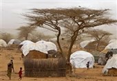 FAO Reaches Milestone in Massive Famine-Prevention Campaign in Somalia