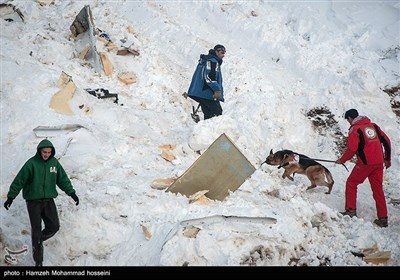 عملیات جستجوی راننده مفقود شده در سقوط بهمن - دماوند