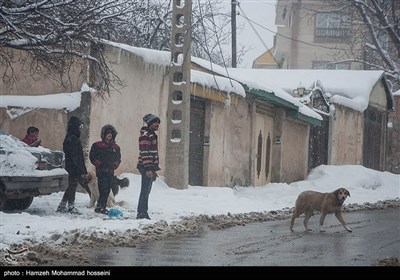 ایران کے ضلع دماوند میں برفباری کے مناظر