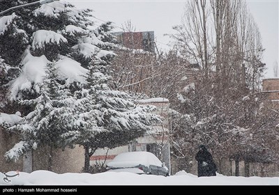 ایران کے ضلع دماوند میں برفباری کے مناظر