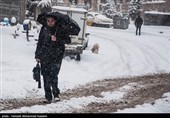 بارش برف و برودت هوا برخی از مدارس آذربایجان شرقی را به تعطیلی کشاند