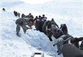 افغانستان| بارش اولین برف در ولایت هرات 6 کشته برجا گذاشت