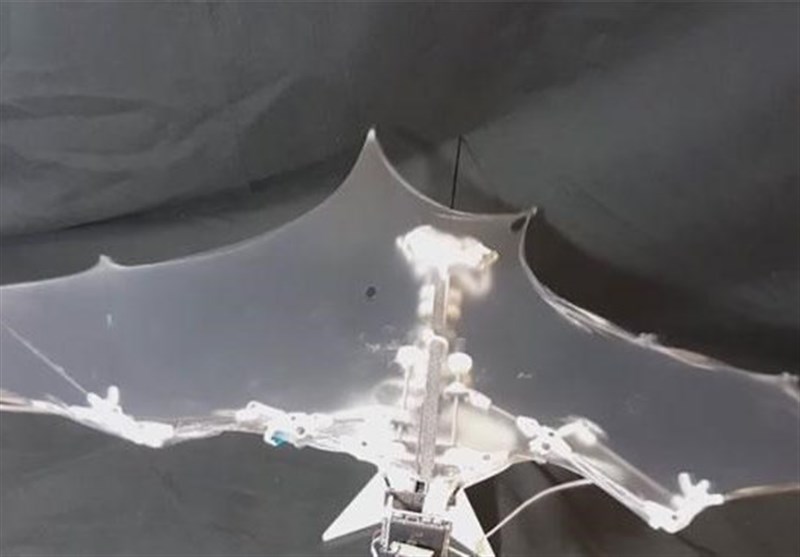 Scientists Develop New Bat-Inspired Flying Robot