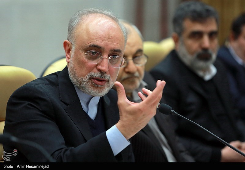 Iran’s Nuclear Chief in Vienna for IAEA Conference
