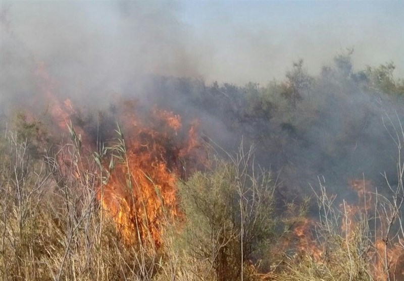 آتش‌سوزی تالاب شهرستان پلدختر مهار شد