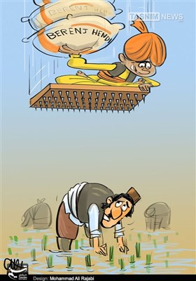 کاریکاتور/ واردات برنج به سبک مرتاضها!