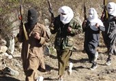 حمله به کارمندان صلیب سرخ ارتباطی با طالبان ندارد، برای مجازات عاملان آن تلاش می‌کنیم