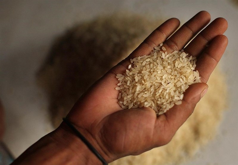 قاچاق 500 هزار تن برنج به کشور در سال 95/امسال قاچاق برنج صفر شد