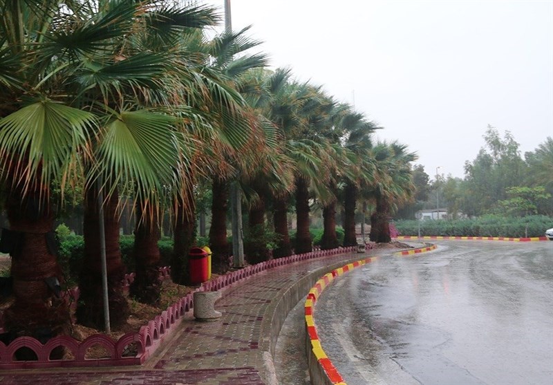 بارش باران در استان بوشهر به 26 میلی‌متر رسید