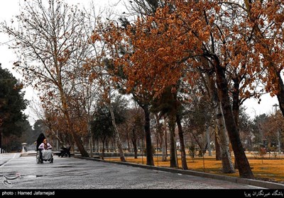 بهره برداری بوستان بسیج ویژه جانبازان و معلولان