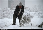 آب 10 درصد مشترکان شهرستان ملایر به‌دنبال بارش برف قطع شد