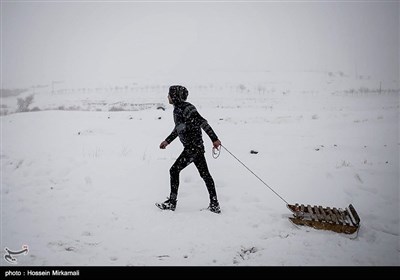 بارش برف در قزوین