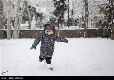بارش برف در قزوین