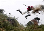 عکس / سقوط عجیب سوارکار در مسابقه اسب سواری لیورپول