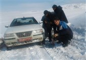بدرقه برف اردبیل با یخبندان و سردی هوا/300 راس گوسفند بر اثر وقوع بهمن در خلخال تلف شد