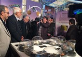 افتتاح نمایشگاه دستاوردهای صنعت هسته‌ای کشور در دانشگاه تهران+تصاویر