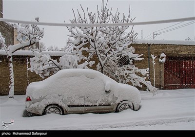 بارش برف در مشهد