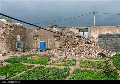 سیلاب در شیارز و تخریب منازل مسکونی