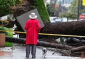 More Rain in Store after 5 Killed in California Storms
