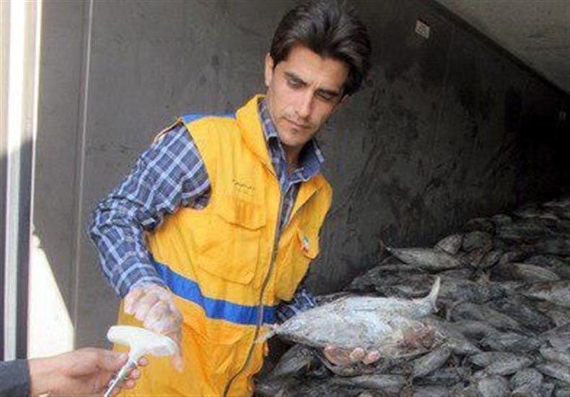 صدور گواهی بهداشتی برای حمل مواد دامی در استان بوشهر 34 درصد افزایش یافت