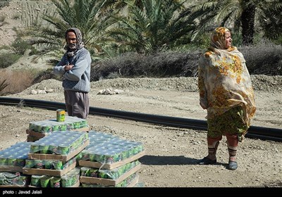 IRCS Workers Provide Humanitarian Aid for Flood-Hit Areas in Southern Iran