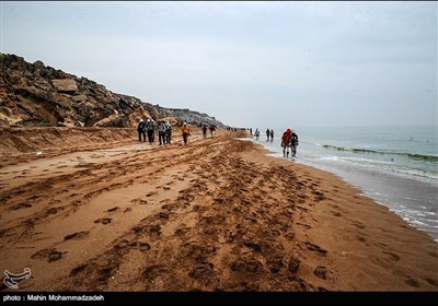 همایش ساحل نوردی - چابهار