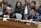 اوکراین خواستار حذف حق وتوی روسیه در شورای امنیت شد