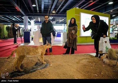 افتتاحیه نمایشگاه بین المللی محیط زیست