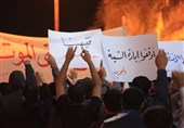 موسسات حقوق بشری بحرین، گرگ در لباس میش