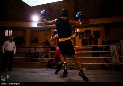 مسابقات انتخابی بوکس دانشجویان کشور در سالن شهید همت ورزشگاه شیرودی