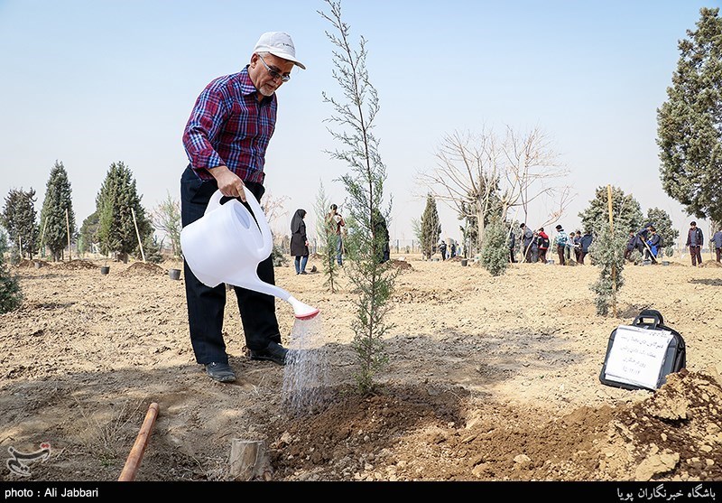 35 هزار نهال در لارستان تولید شد