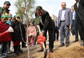 مراسم جشن روز درختکاری در زنجان برگزار شد+ تصاویر
