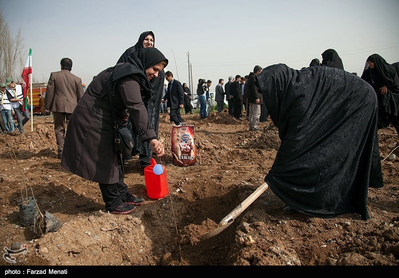 تهران| در هفته منابع طبیعی 7500 اصله نهال در فیروزکوه توزیع می‌شود