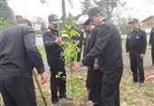 26 درخت به یاد شهدای مرکز تخصص‌های دریایی نداجا در رشت غرس شد